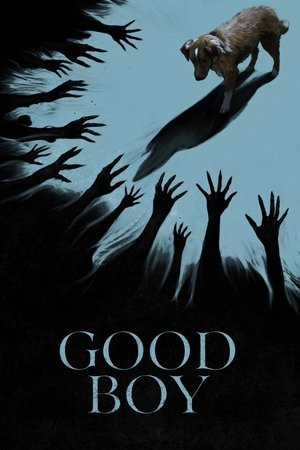 Good Boy ( 2025 ) - Poster