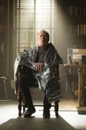 Better Call Saul Season 2 Episode 9 - Poster