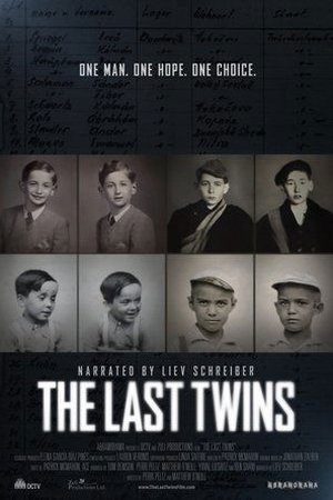The Last Twins ( 2025 ) - Poster
