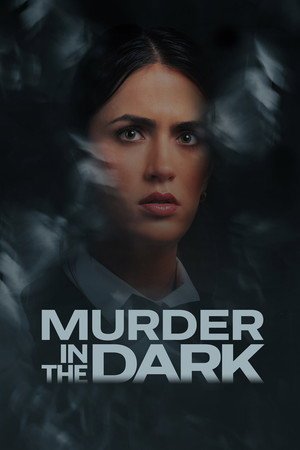 A Scream in the Dark (2026) - Poster